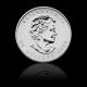 Maple Leaf - Canada 1 Oz Platinum