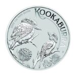 1 oz Australian Kookaburra 2023 strieborná minca